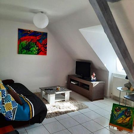 Appartement Spacieux A Ingersheim Avec Vue Sur Jardin 100 M² Eksteriør billede