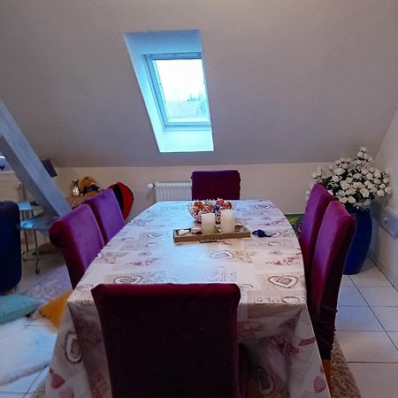 Appartement Spacieux A Ingersheim Avec Vue Sur Jardin 100 M² Eksteriør billede