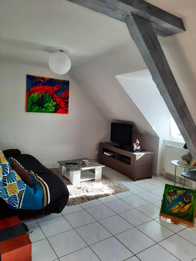 Appartement Spacieux A Ingersheim Avec Vue Sur Jardin 100 M² Eksteriør billede