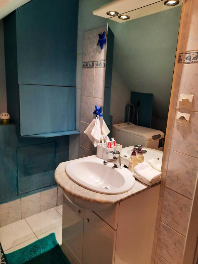 Appartement Spacieux A Ingersheim Avec Vue Sur Jardin 100 M² Eksteriør billede