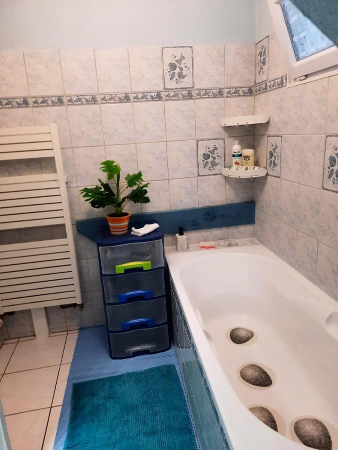 Appartement Spacieux A Ingersheim Avec Vue Sur Jardin 100 M² Eksteriør billede