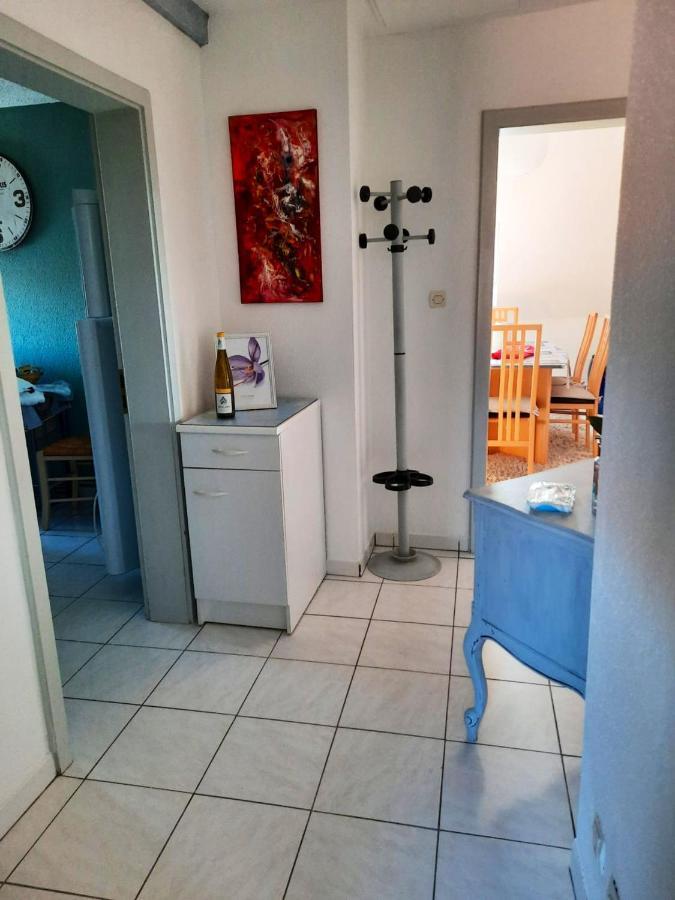 Appartement Spacieux A Ingersheim Avec Vue Sur Jardin 100 M² Eksteriør billede